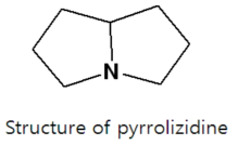 피롤리지딘 알칼로이드의 구조