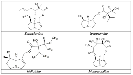 대표적인 피롤리지딘 알칼로이드 구조