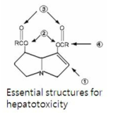 Essential structures for hepatotoxicity
