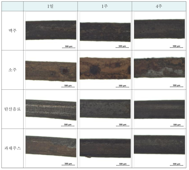 식품에 혼입된 녹슨 금속의 시간에 따른 형태 관찰 결과