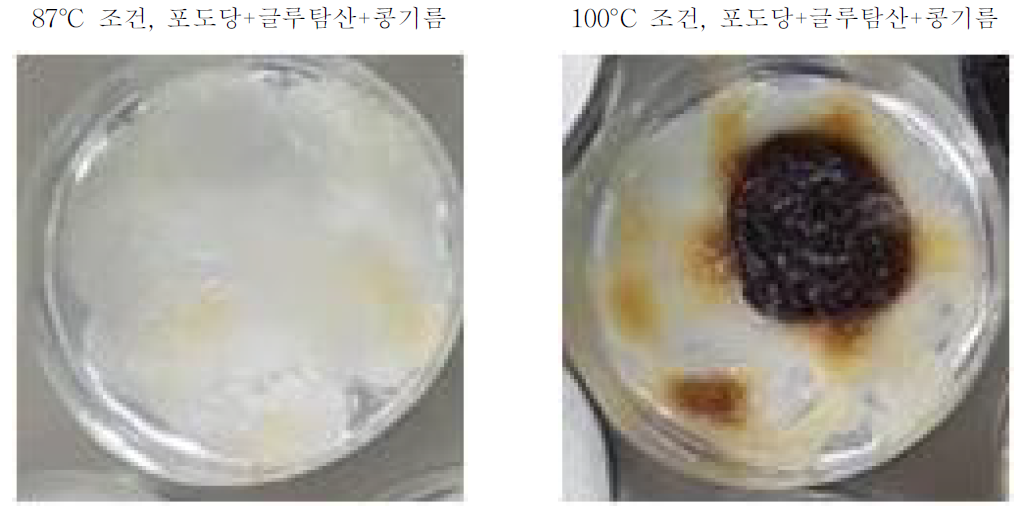 물을 첨가하지 않은 포도당+글루탐산+콩기름 매질에서 발생한 갈변현상