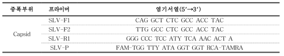 사포바이러스 Real-time PCR 증폭에 사용되는 프라이머 및 프로브 서열