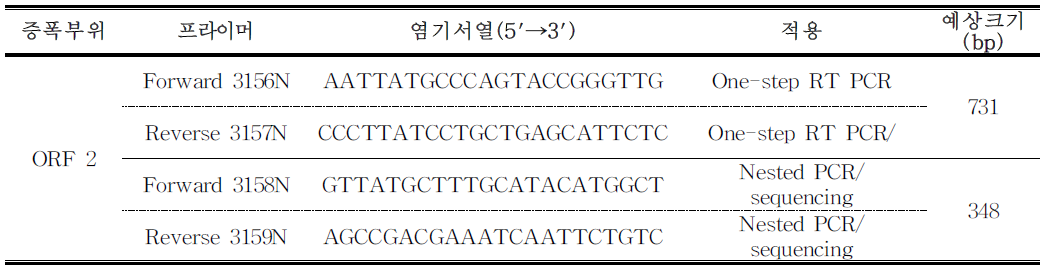 E형 간염바이러스 Conventional RT-PCR 증폭에 사용되는 프라이머 서열