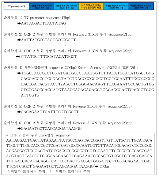 E형 간염바이러스 ORF 2 부위의 Conventional RT-PCR 양성대조군 gene 합성 sequence