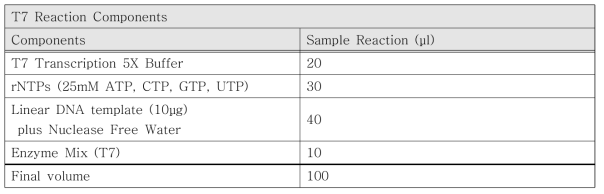 In vitro transcription 반응액 조성