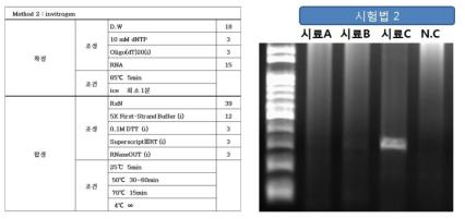 2번 실험법 cDNA합성 조건 및 실험 결과