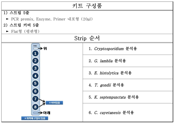 6종 원충 동시검출 키트의 초기모델 구성품 정보