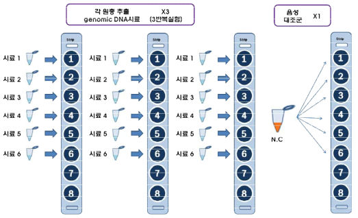 6종 원충 동시검출 키트의 1차 키트 구성