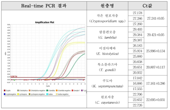 6종 원충 동시진단키트 Real time PCR 범부처 실험결과