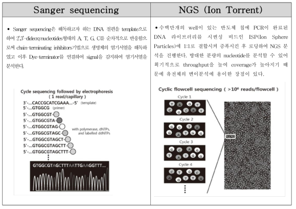 Sanger sequencing과 NGS 염기서열 분석법 비교