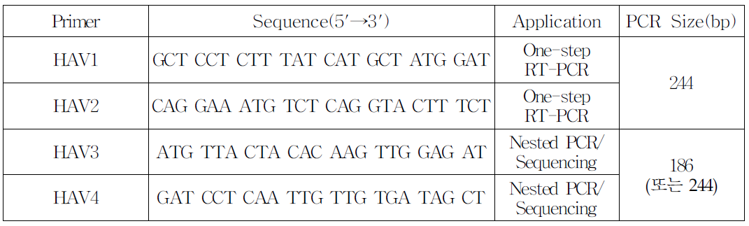 A형 간염바이러스 PCR 프라이머 염기서열
