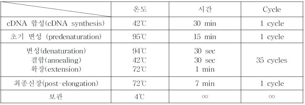 로타바이러스 VP7 부분 One-step RT-PCR 반응조건 및 온도