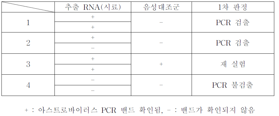 아스트로바이러스 PCR 결과판정(예시)