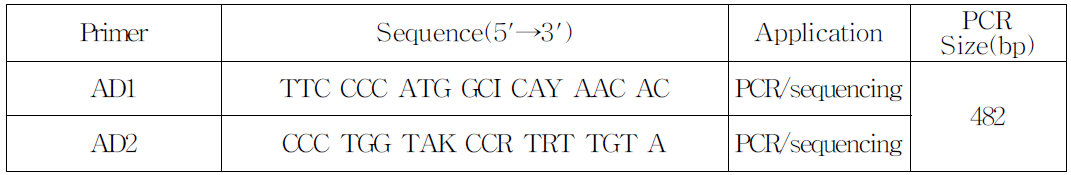 장관아데노바이러스 PCR 프라이머 염기서열