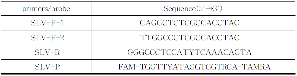 사포바이러스 Realtime RT-PCR의 프라이머와 프로브의 염기서열