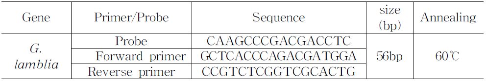 람블편모충 Real-time PCR을 위한 primer와 probe 염기서열
