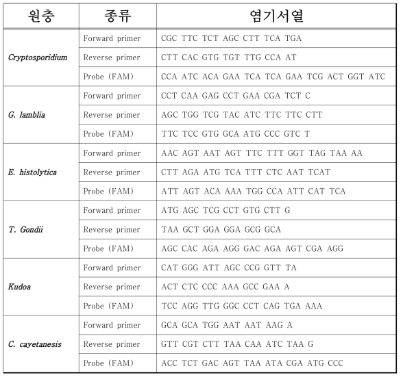 6종 원충 키트의 primer, probe 염기서열 정보