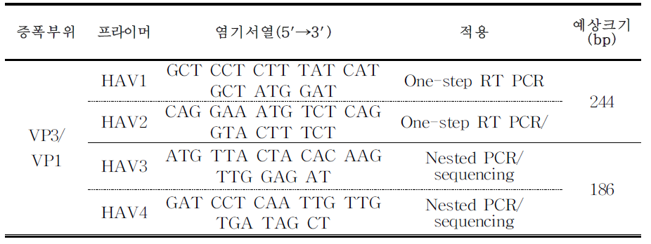 A형 간염바이러스 Conventional RT-PCR 증폭에 사용되는 프라이머 서열