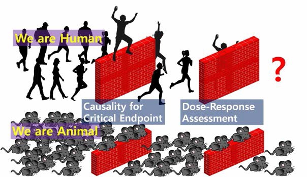 용량-반응 평가에 도달하는 인체역학 자료와 동물독성 자료 모식도 (예시)