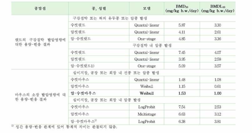 크름 6가 발암에 대한 BMDL