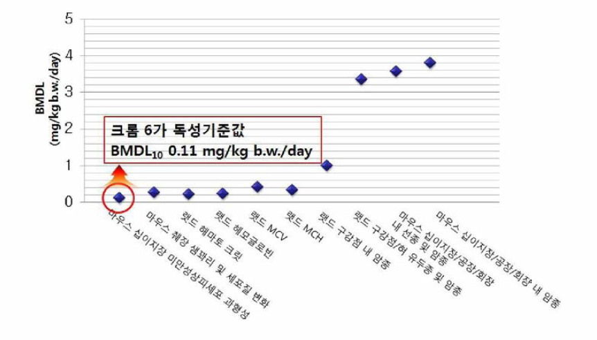 크름 6가에 대한 발암 및 비발암 독성에 대한 BMDL 비교