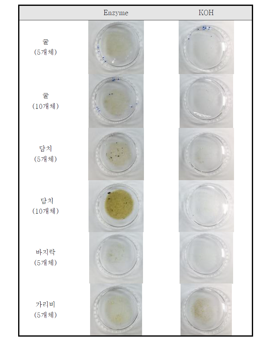 유기물 분해과정 후 여과지 표면 사진