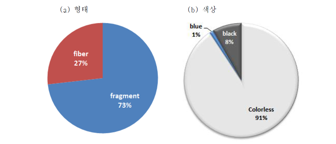 가리비에서 검출된 미세플라스틱의 형태와 색상