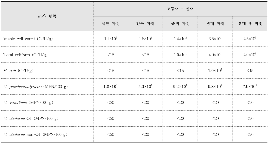 부산공동어시장 어류 미생물학적 조사(2017. 06. 23.)