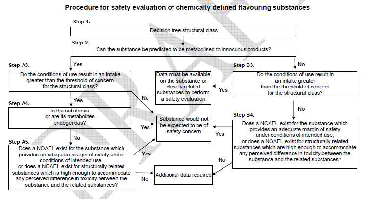 화학적으로 규명된 물질의 안전성 평가과정