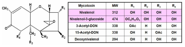 Structures for major type-B trichothecenes and their glucosides.