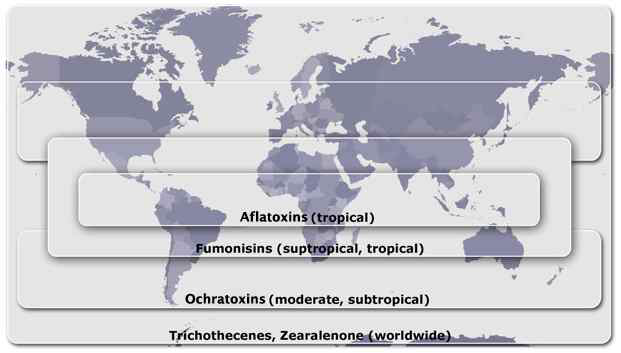 Geographic distribution of mycotoxin