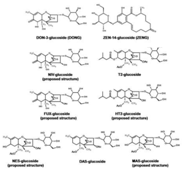 Structures for masked mycotoxins (mono-glucoside derivatives).