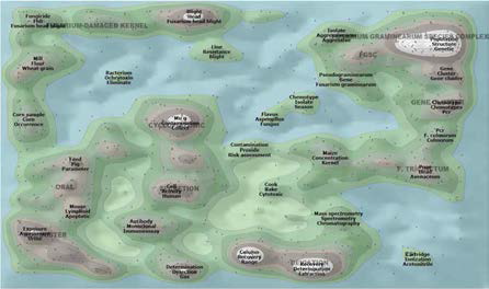 Contour map of published paper for nivalenol mycotoxin.