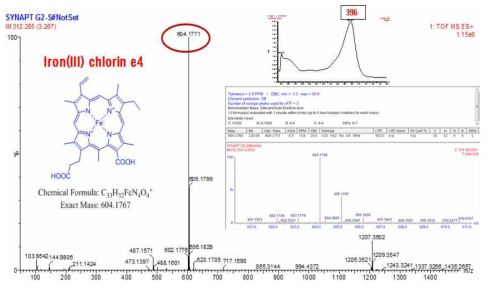 Iron chlorin e4 derived of SIC on LC-MS chromatogram.