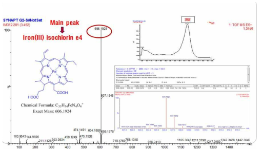 Iron chlorin e4 of SIC on LC-MS chromatogram.