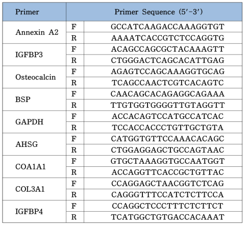 각 프라이머의 단백질 염기서열