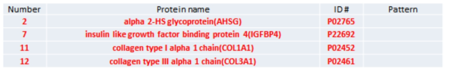 골격계 발달과 관련된 단백질