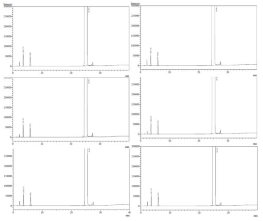 아세톤 표준액 (250 μg/mL) 6회 측정 크로마토그램