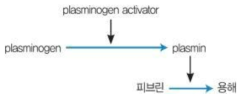 섬유소 용해 과정