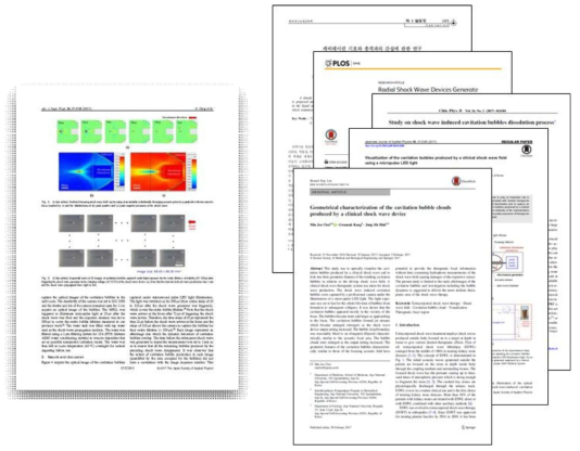 충격파와 캐비테이션의 상관성 문헌