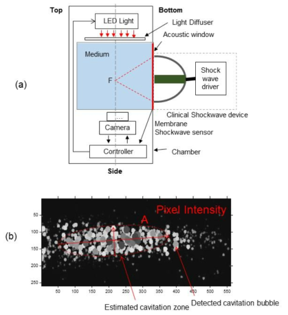 (a) 캐비테이션 가시화 장치 개요도, (b) 평가 파라미터 예시