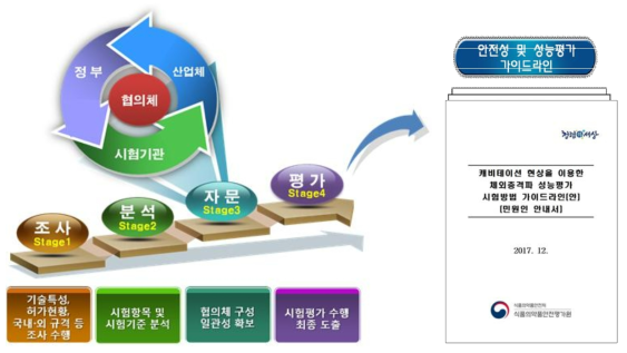 연구개발과제의 추진 전략