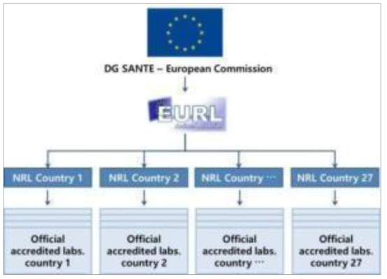 DG SANTE 하의 EURL·NRL·OCL(Official country lab)