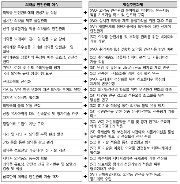 의약품 안전관리 분야 이슈별 해결전략 수립