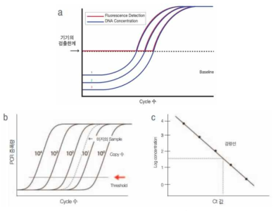Real-time PCR의 원리