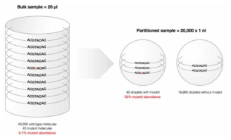 기존 PCR방법 (Bulk sample)대비 Droplet PCR의 장점