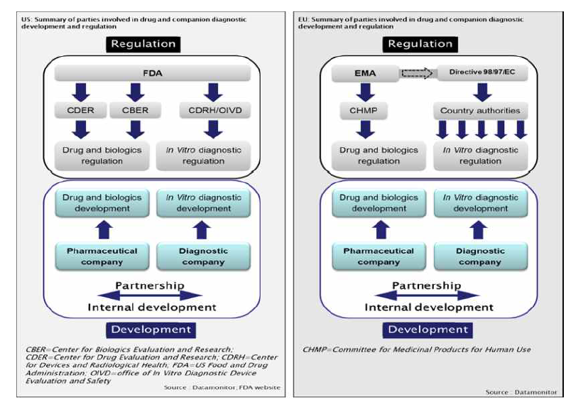 미국 FDA와 유럽 EMA 동반진단키트 관련 약물 허가체계