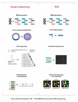 NGS의 원리 및 Sanger Sequencing과의 차이점