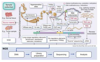 NGS를 활용한 다양한 유전체/후성유전체 분석 방법