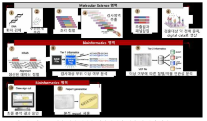 NGS 기반 질병 진단을 위한 유전자 검사 및 분석 과정 흐름도